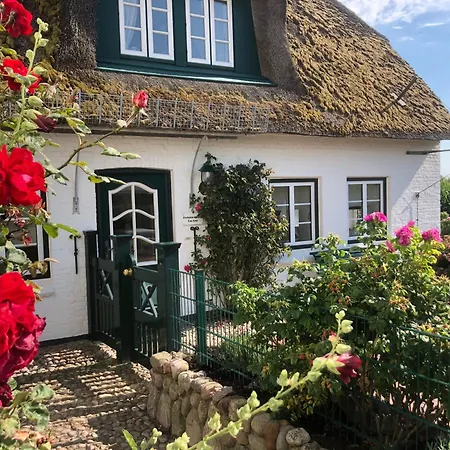 Deichhof Whg Luana Apartament *